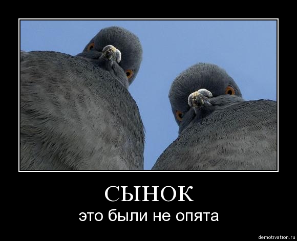 Картинки по запросу юмор про грибы