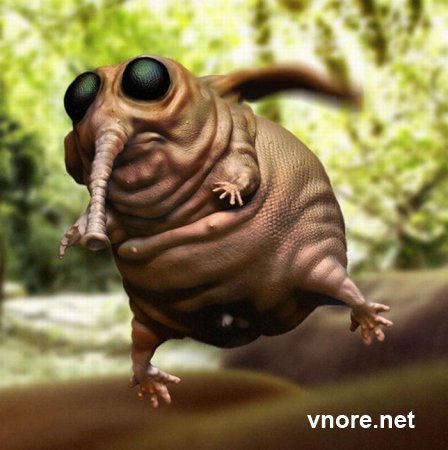 3d �������