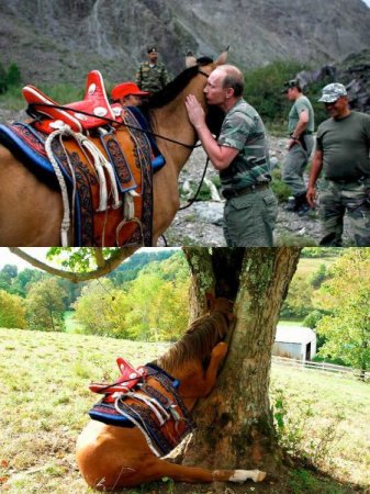 � ��� �� ������ ������?
