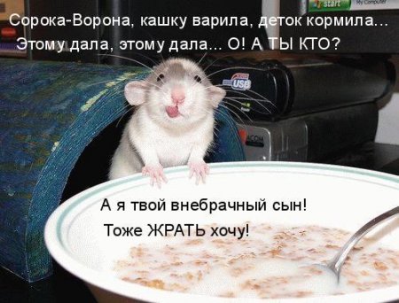 ���������� ��������