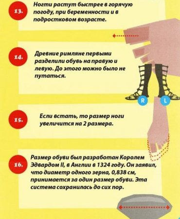 17 фактов о ногах