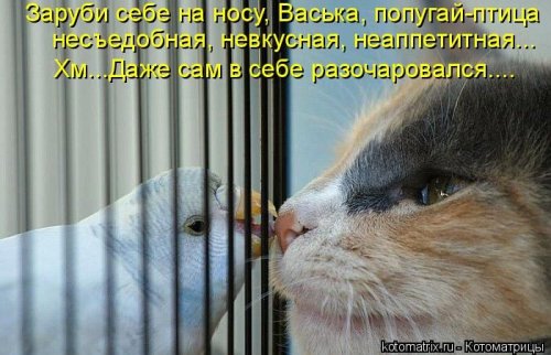 прокси для крана Купить списки прокси socks5 серверов для парсинга e-mail адресов, Прокси socks5 микс для крана bitcoin