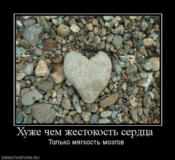 http://vnore.net/uploads/posts/2011-02/1296555622_1296377711_142100_huzhe-chem-zhestokost-serdtsa-.jpg