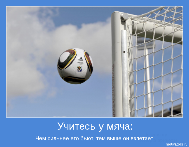 Обзор Трибуны