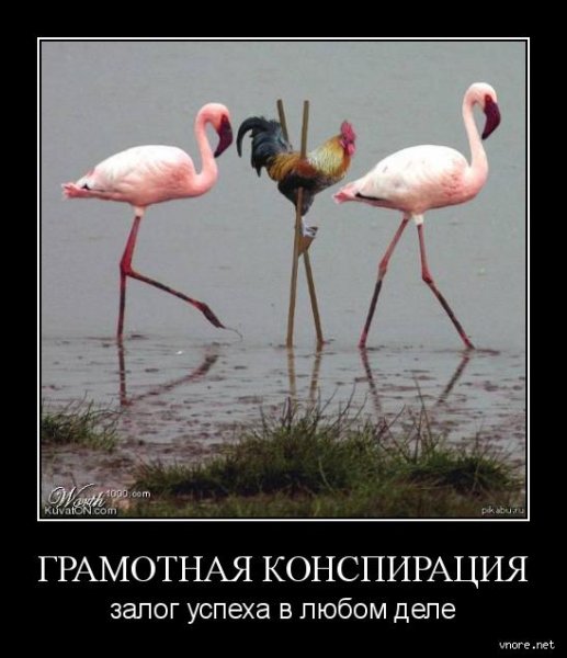 ��������� ���������� �� Vnore.net