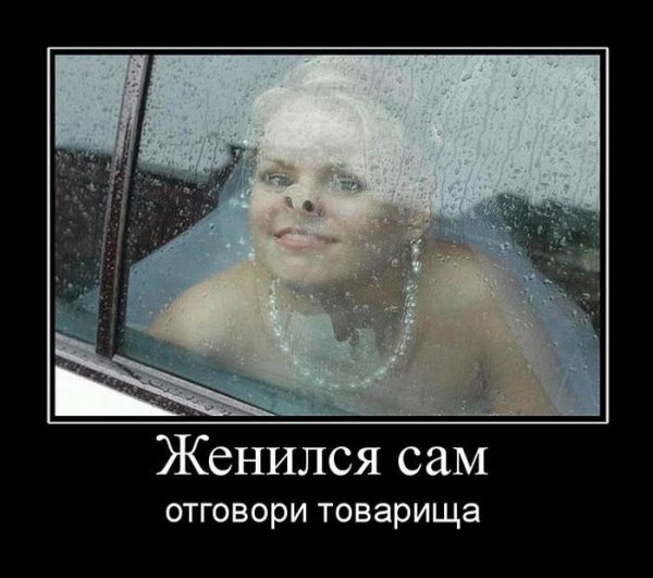 ������������ �� �����������