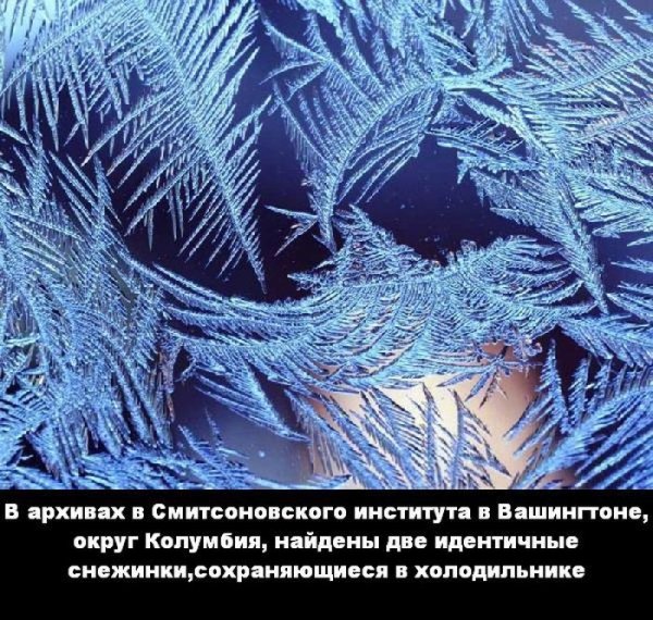 ����� ��� ����