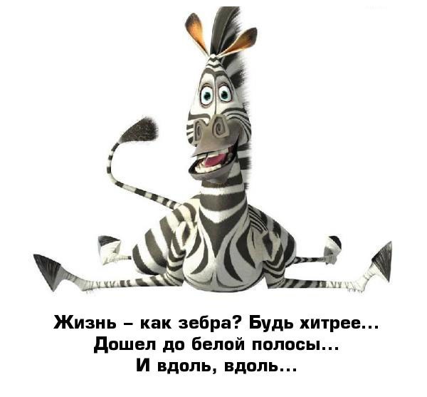 приятных выходных картинки прикольные онлайн приятных выходных картинки прикольные